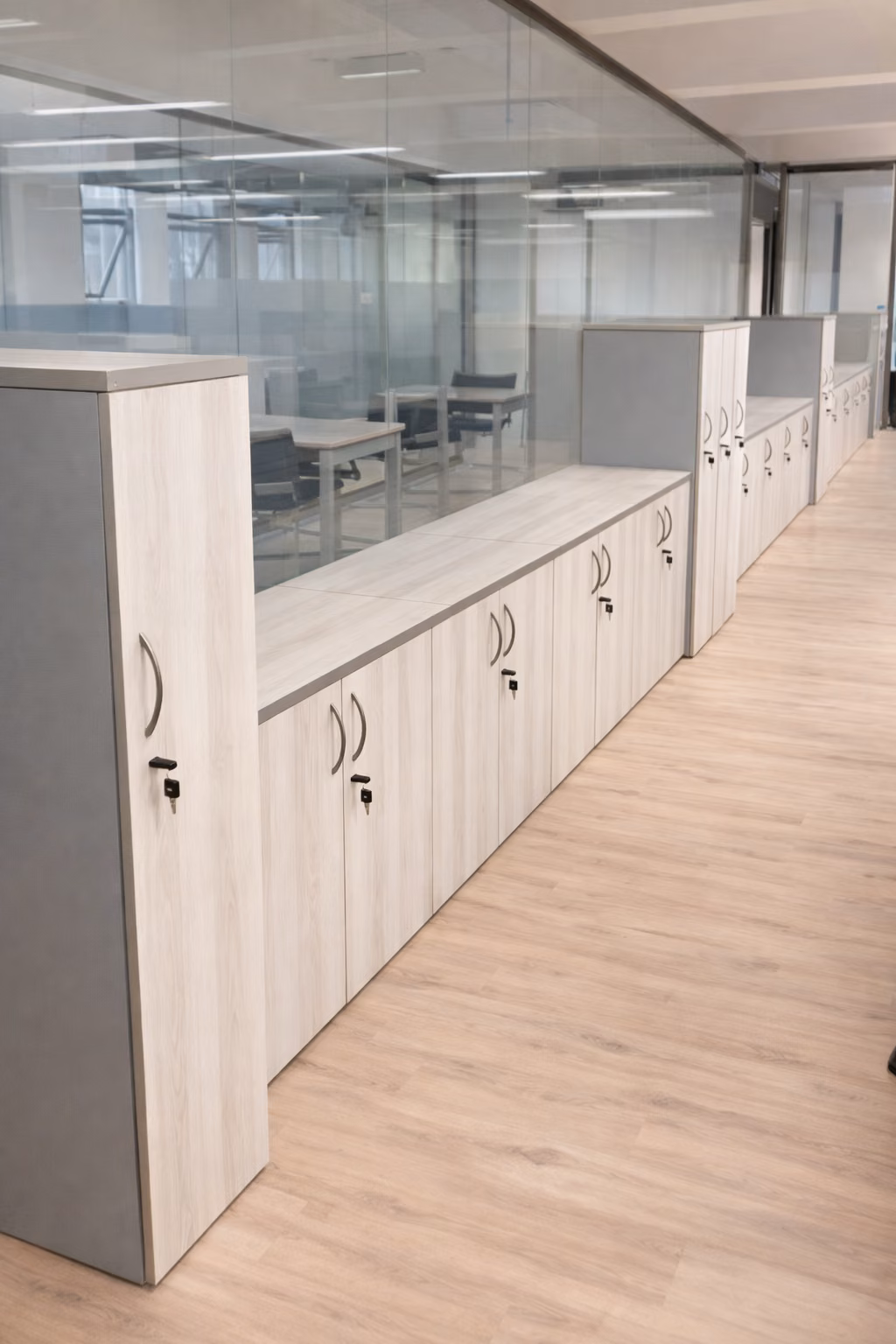 Muebles de guardado blancos junto a divisiones de vidrio